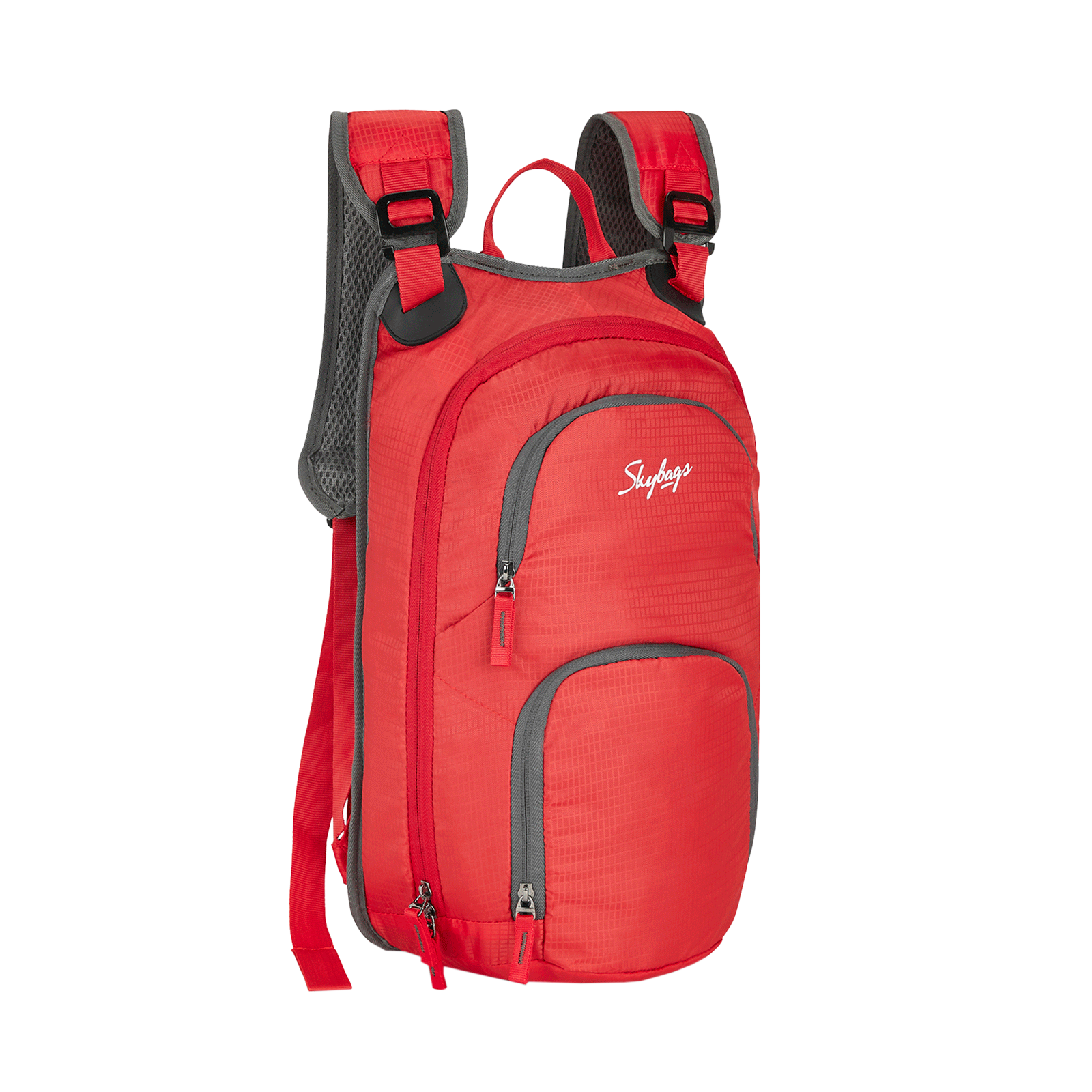 Skybags backpack cheap